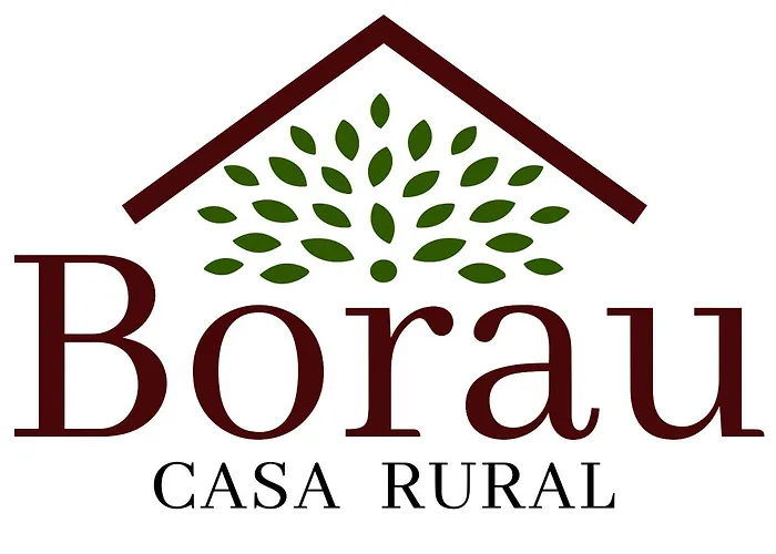 Casa Rural Borau